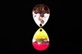 #3.5 Colorado "Copper RAZ Lemonade" Spinner Blade (Single Blade)
