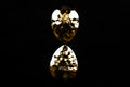 #4.5 Colorado "Gold" Spinner Blade (single blade)