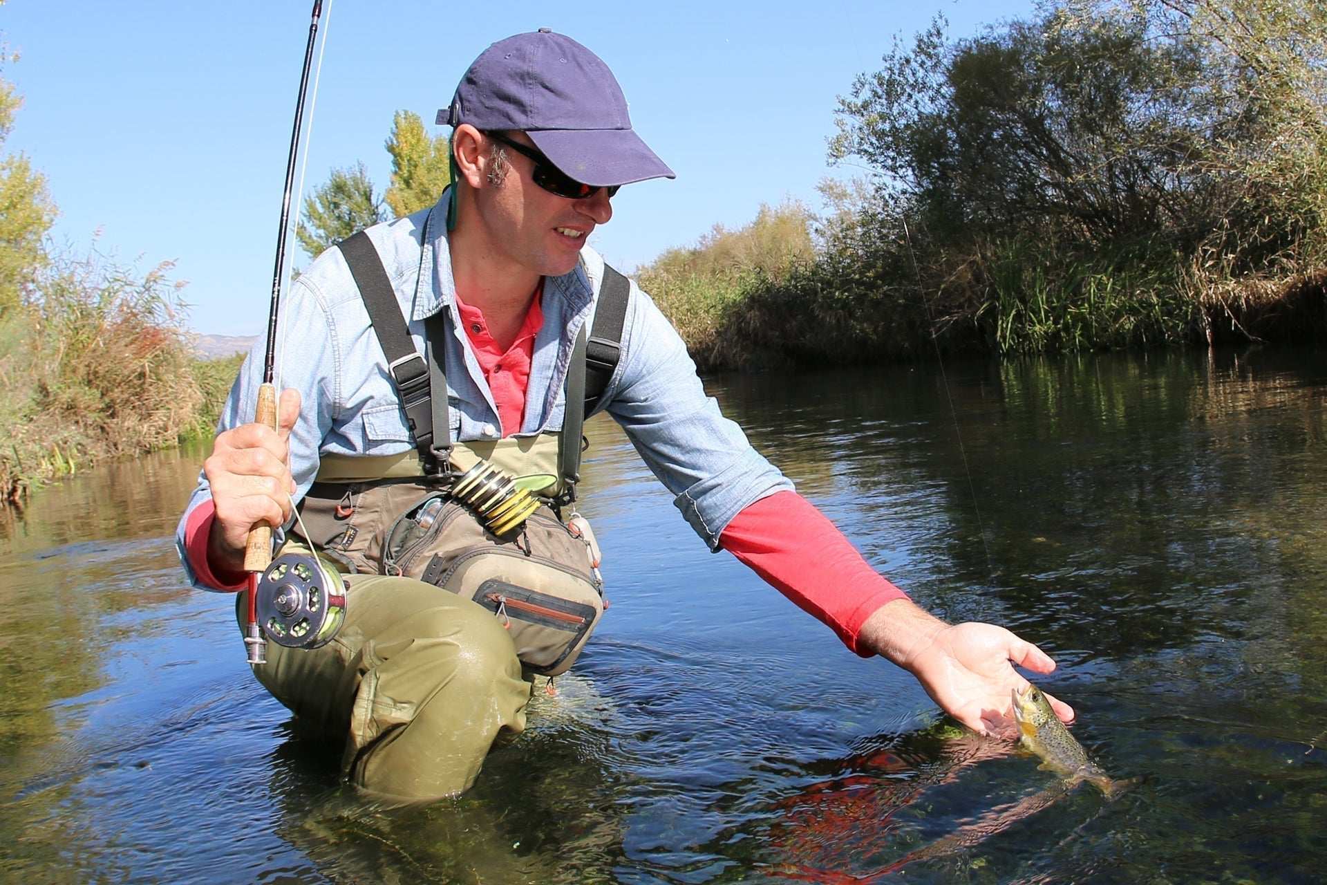 Adams Irresistible Classic Dry Fly - 1 Dozen Flies Hook Size 12