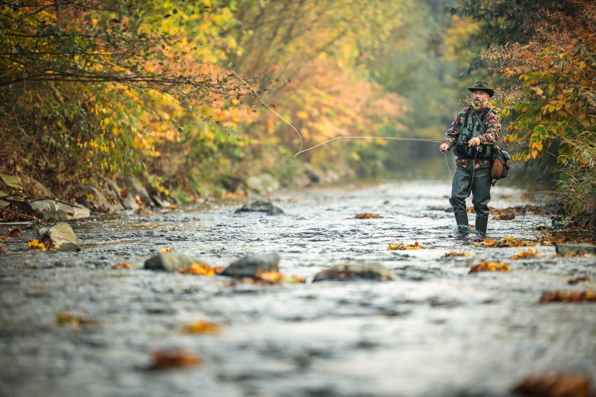 3 Pack Olive Elk Hair Caddis Classic Trout Dry Fly - Hook Size 12