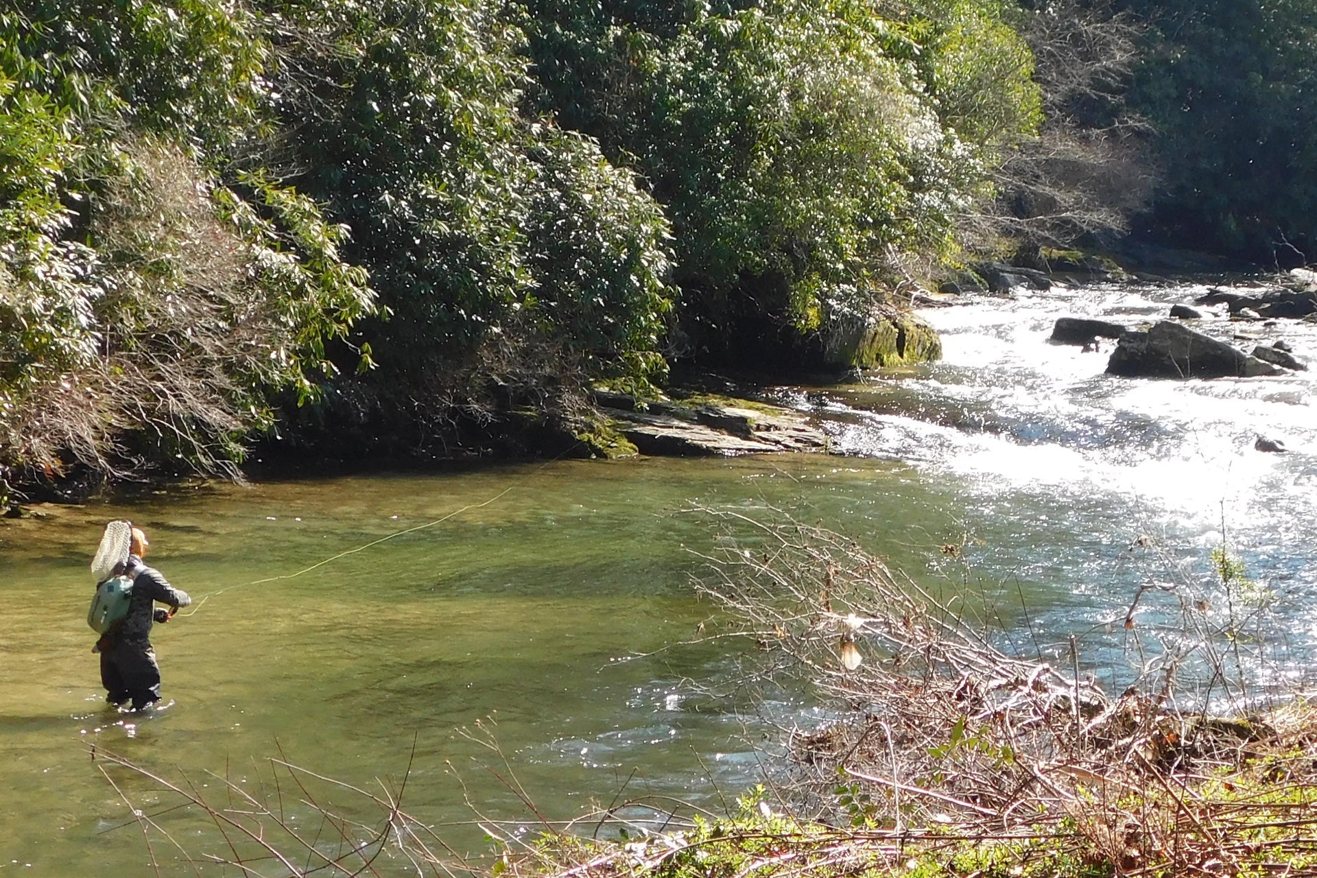 3 Pack LaFontaine Olive Deep Sparkle Caddis Pupa - Hook Size 16