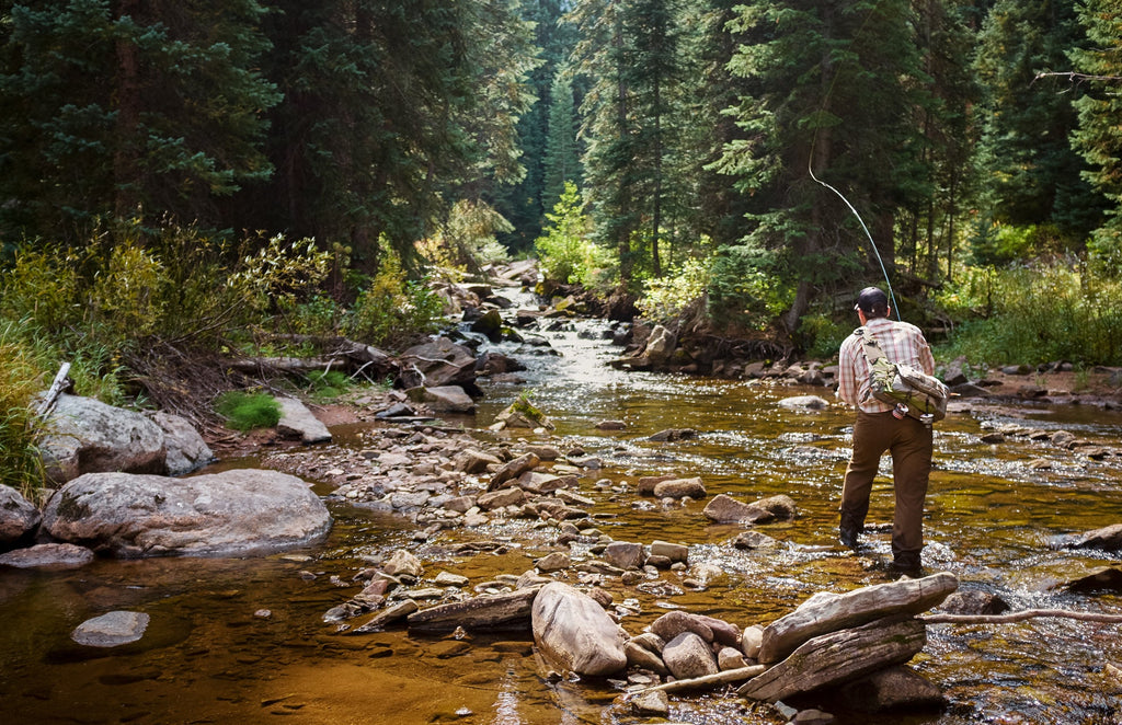 Olive Zebra Sakasa Kebari - 6 Tenkara Flies - Size 14