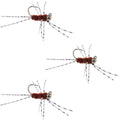 3 Pack Barbless Pat's Barred Rubber Legs Tungsten Bead Jigged Brown Euro Nymph - Hook Size 6