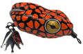 Pacman Frog