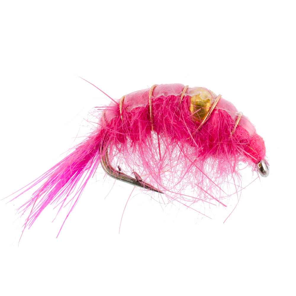 Beaded Shrimp Scud Assortment - 1 Dozen - 4 Each of 3 Patterns Size 16 - Tailwater Lake Fly
