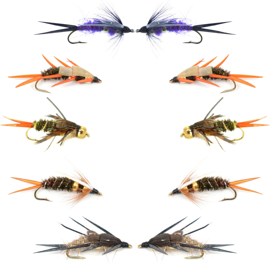 Basics Collection - Double Bead Head Nymph Assortment - 10 Wet Flies - 5 Patterns - Hook Size 14
