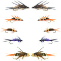 Basics Collection - Double Bead Head Nymph Assortment - 10 Wet Flies - 5 Patterns - Hook Size 10