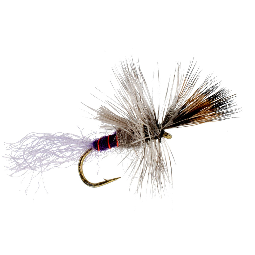 Purple Haze Cripple Mayfly  12 Flies Hook Size 18