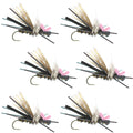 Gypsy King Hopper Foam Body Grasshopper Fly - 6 Flies Hook Size 10