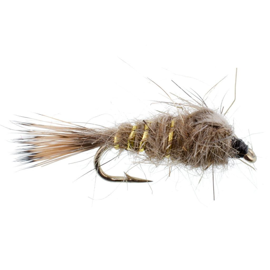 Classic Weighted Gold Ribbed Hares Ear Nymph - Set of 6 Flies - Size 18