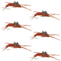 Tungsten Bead Kaufmann's Brown Stone Fly with Rubber Legs - Stonefly Wet Fly - 6 Flies Hook Size 12
