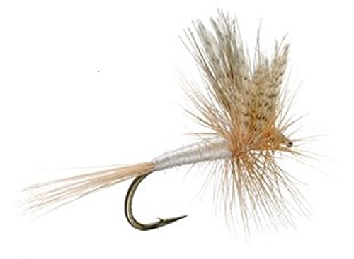 Light Cahill Classic Trout Dry Fly Fishing Fly - 6 Flies Size 16
