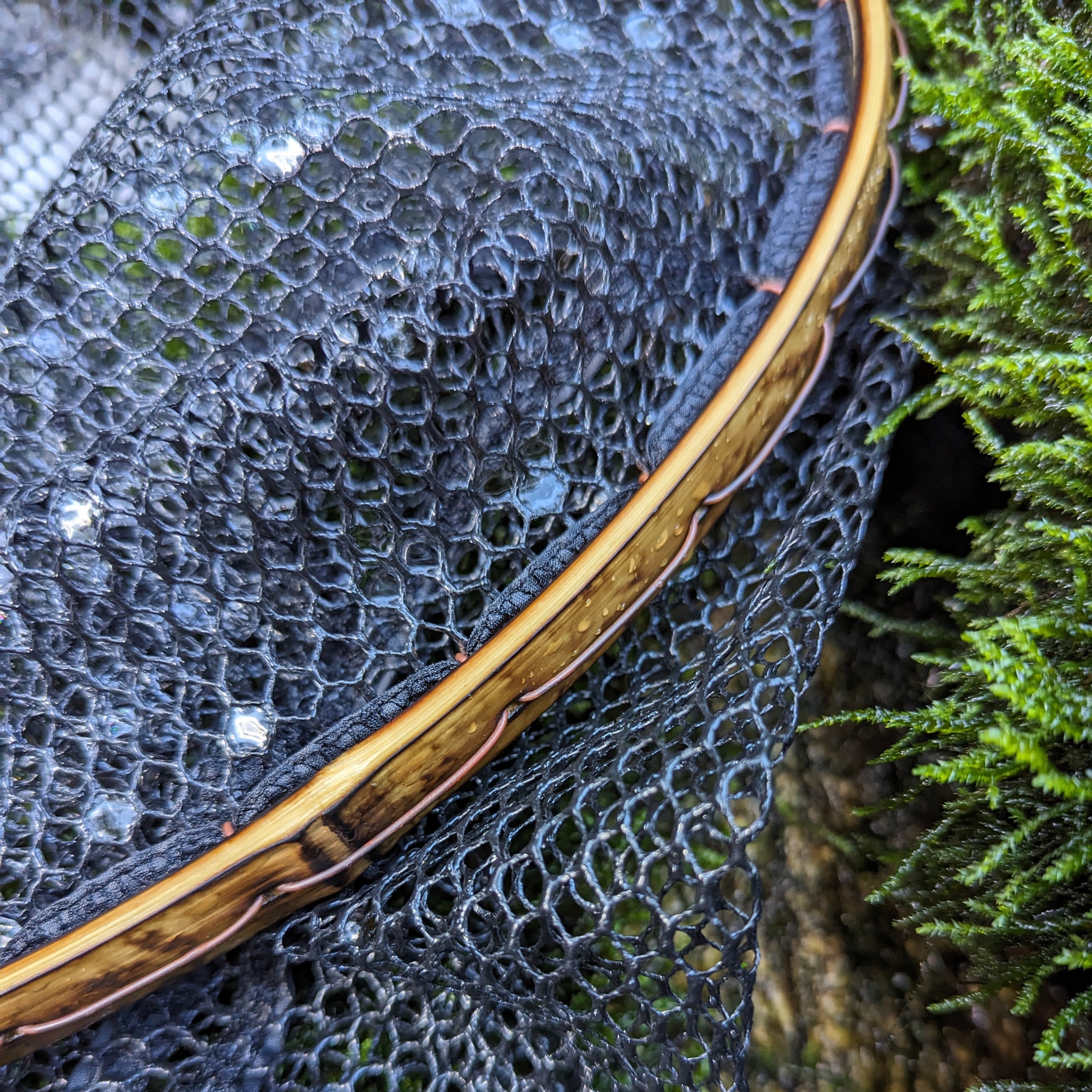 The Speck - 6.5x10" Hoop