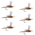 Hares Ear Parachute Classic Dry Fly - 6 Flies Hook Size 10