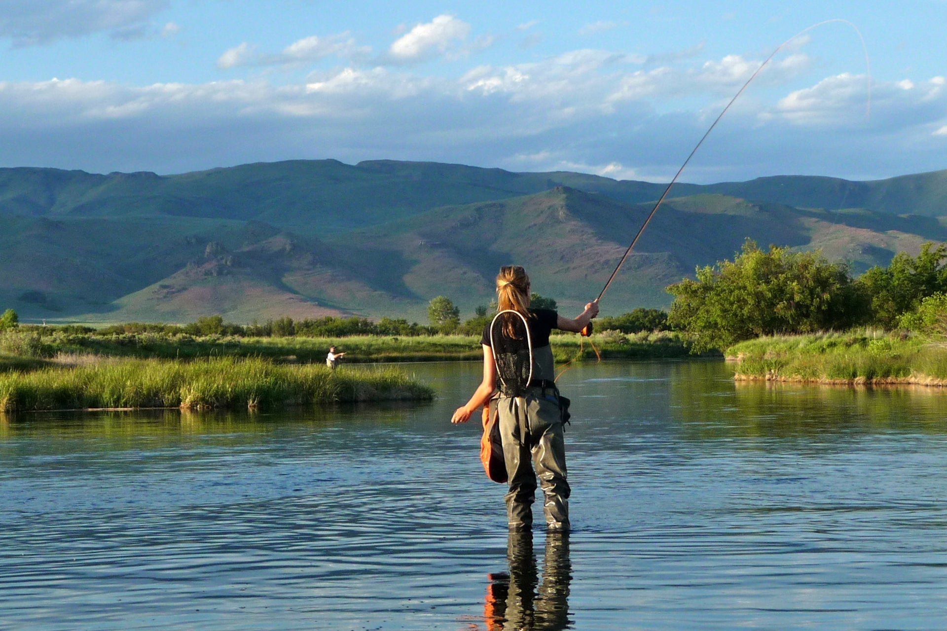 3 Pack Parachute Purple Haze Dry Fly - Size 18