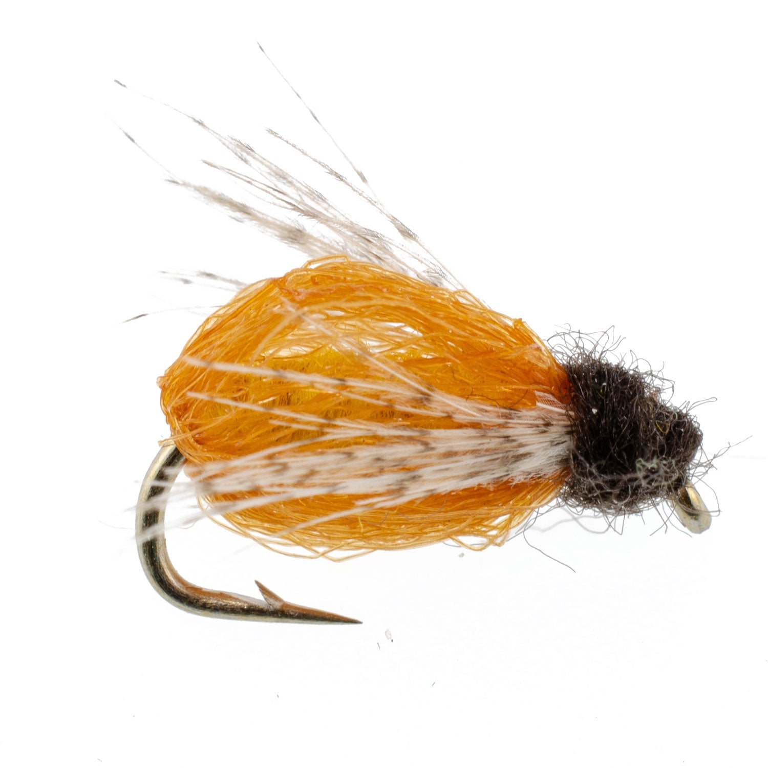 LaFontaine Amber Deep Sparkle Caddis Pupa - 6 Flies Hook Size 16