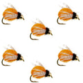 Bead Head LaFontaine Amber Deep Sparkle Caddis Pupa - 6 Flies Hook Size 18
