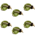 Bead Head LaFontaine Olive Deep Sparkle Caddis Pupa - 6 Flies Hook Size 12