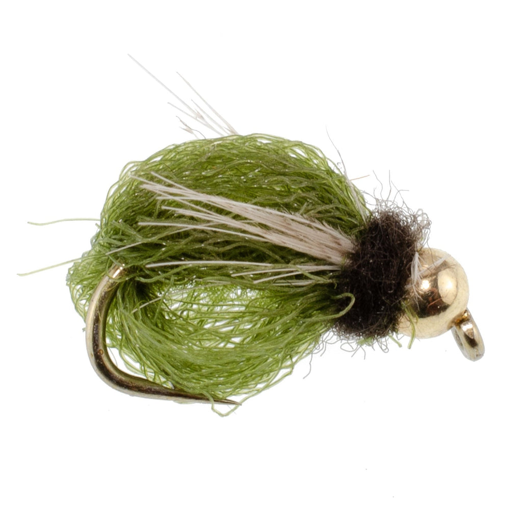 3 Pack Bead Head LaFontaine Olive Deep Sparkle Caddis Pupa - Hook Size 16