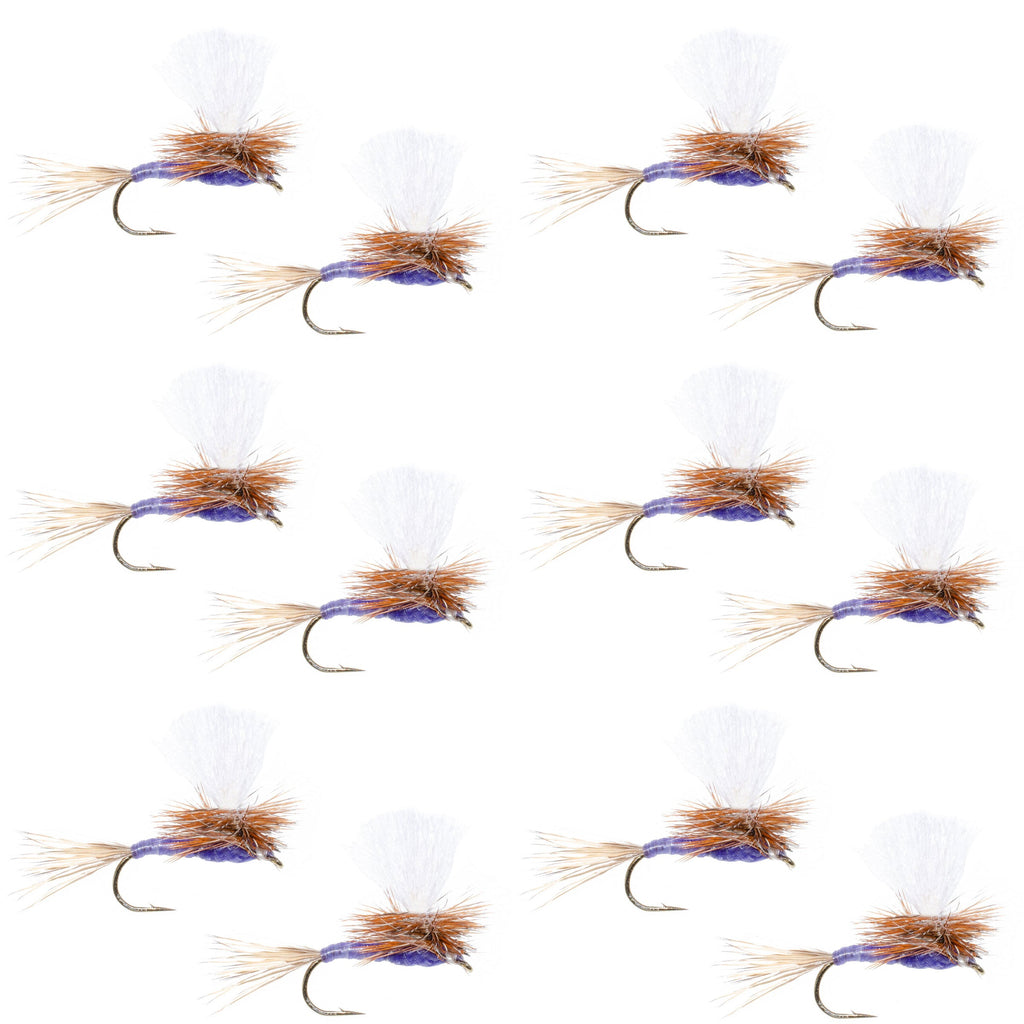 Parachute Purple Haze Dry Fly - 12 Flies Size 18