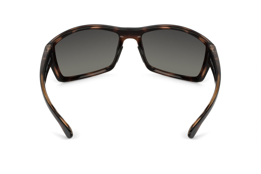 Scout - Tortoiseshell