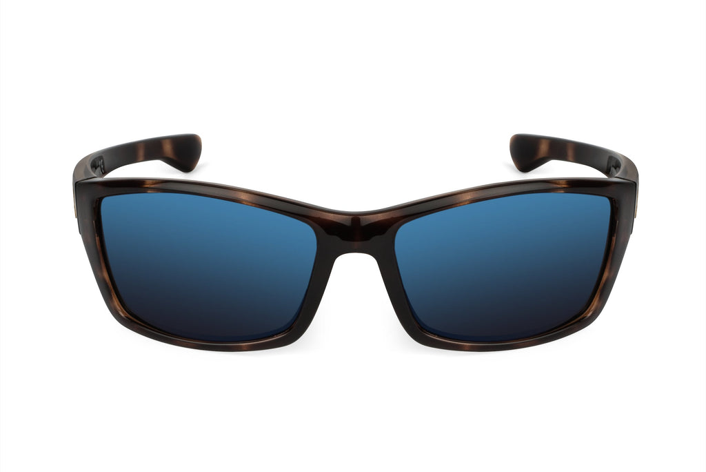 Scout - Tortoiseshell