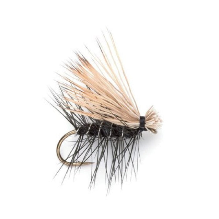 Trout Flies Assortment - 12 Flies for Trout Fly Fishing with Fly Box - Essential Dry and Wet Fly Selection