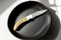 Handmade Damascus Pocket Knife with Olivewood Handle