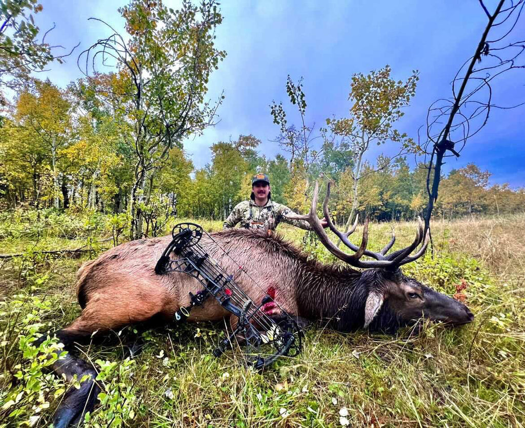 TOTA | 125 grain broadhead | 1-inch solid | fixed blade